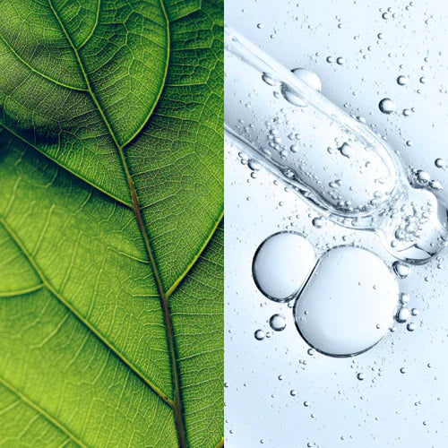 Why nature and science are the best combinations for effective skincare products
